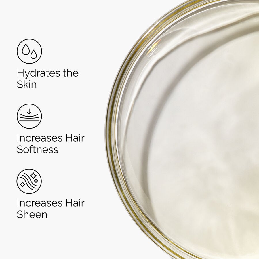 100-organic-cold-pressed-moroccan-argan-oil-z3 FY25-D41247-ORD-Web-PDP-100-Argan-Oil-1x1-EN-3.jpg
