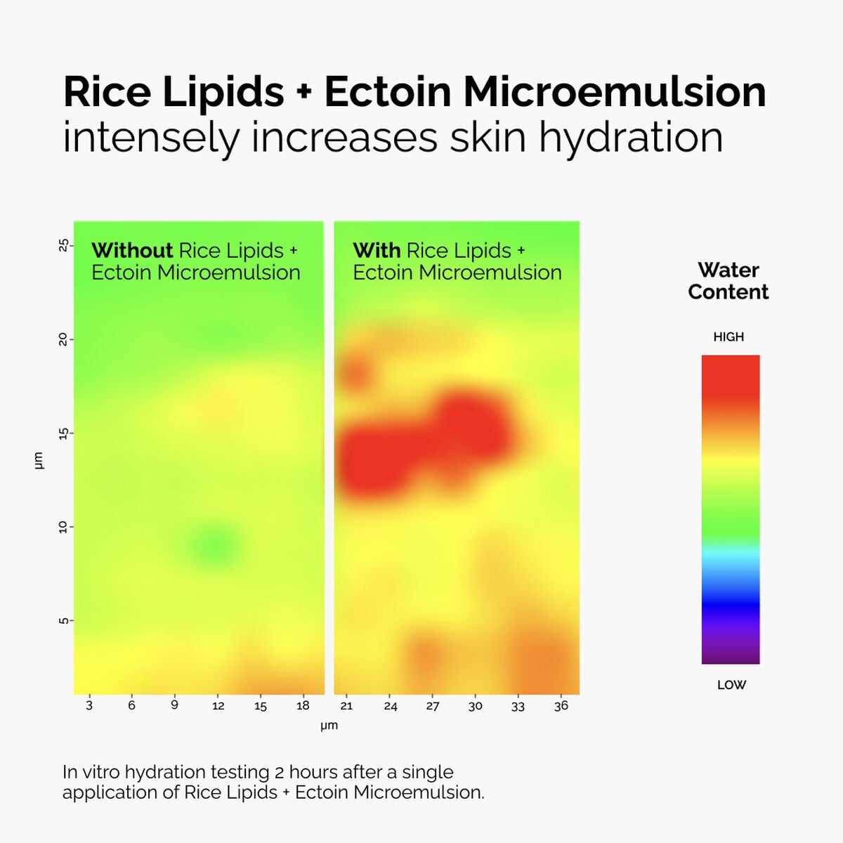 rice-lipids-ectoin-microemulsion-t9 ord-rice-lipids-ectoin-microemulsion-thermal-before-after.jpg